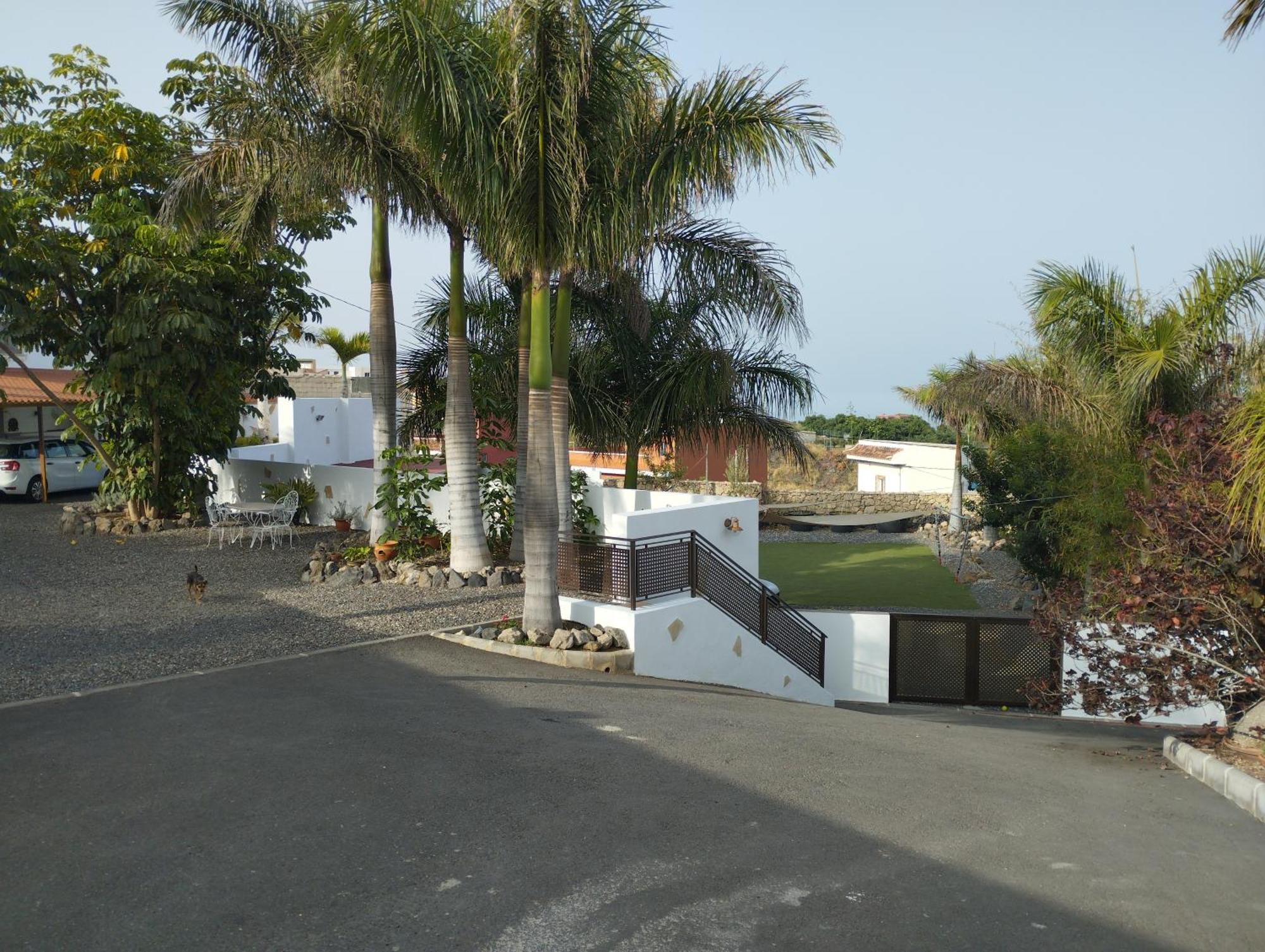 Palmeras B * Guimar